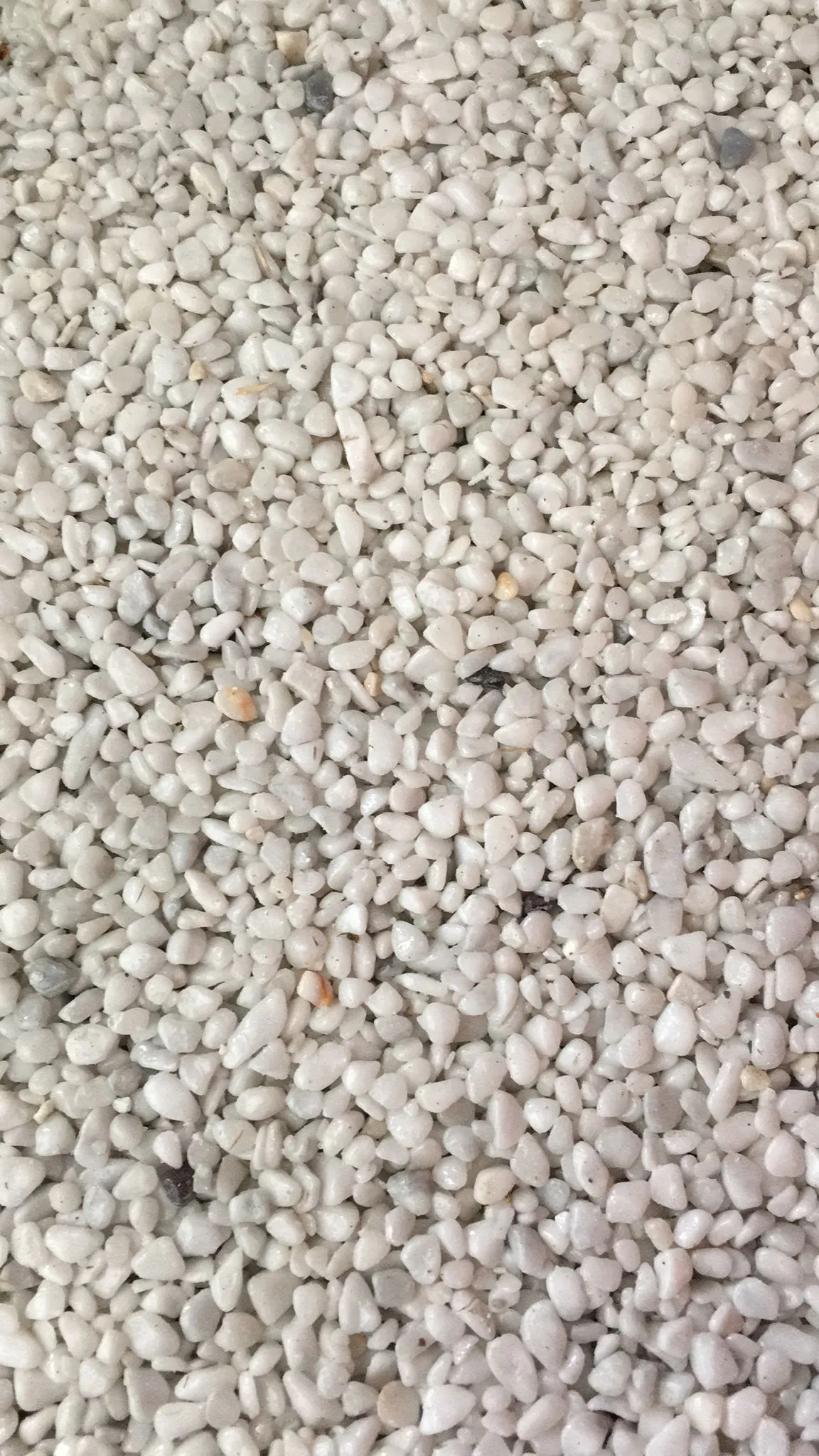 pianeta-rocce-ciottolini (4)